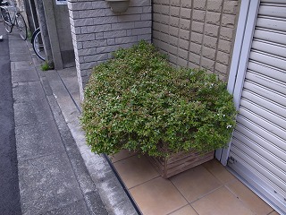 20171117111542.jpg