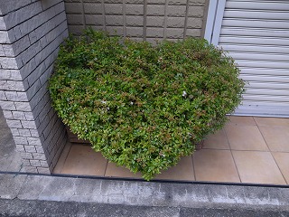 20171117111820.jpg