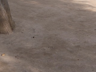 20181118103034.jpg