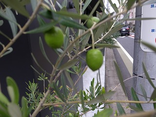 2018925123616.jpg