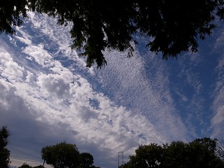 2019920113719.jpg