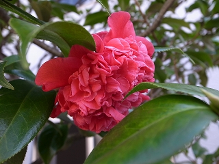 20201016144125.jpg