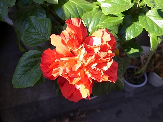 20201016144243.jpg