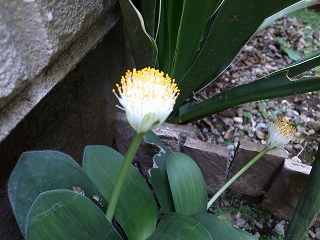 20201029111712.jpg