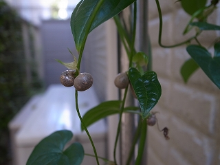 20201029112143.jpg