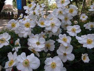 2020117132757.jpg