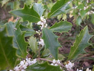 2020117133044.jpg