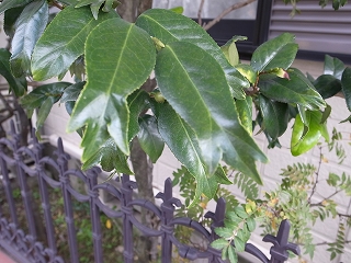 2020117133338.jpg